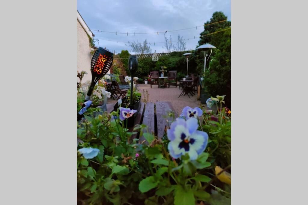 The Loft At Rowantree Cottage Dromara Екстер'єр фото